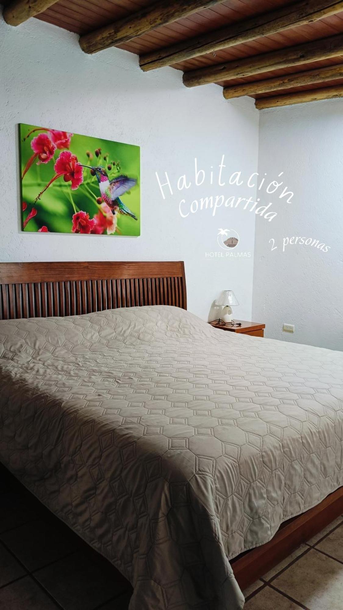 Hotel Palmas Teotihuacan 샌후안토드와캔 외부 사진